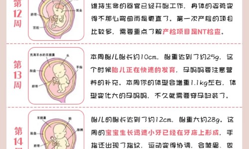 孕妇怀孕猫会有传染吗网 - 孕妇怀孕猫咪会有什么反应,孕妇怀孕猫会有传染吗怎么办