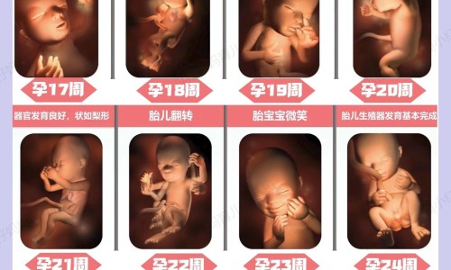 孕妇怀孕猫会有传染吗网 - 孕妇怀孕猫咪会有什么反应,孕妇怀孕猫会有传染吗怎么办