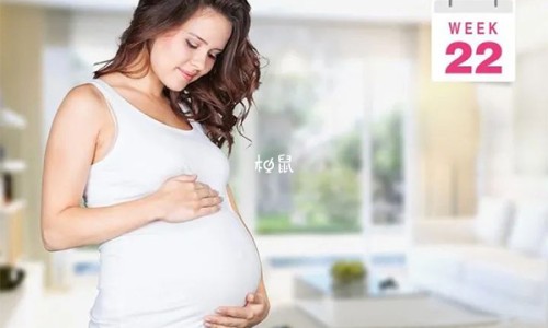 孕猫会得猫传腹吗-孕妇怀孕猫会有传染吗网 - 孕妇怀孕猫咪会有什么反应,孕妇怀孕猫会有传染吗怎么办